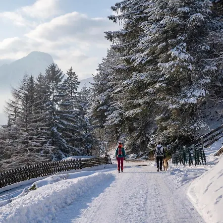 Alpengasthof Veitenhof *