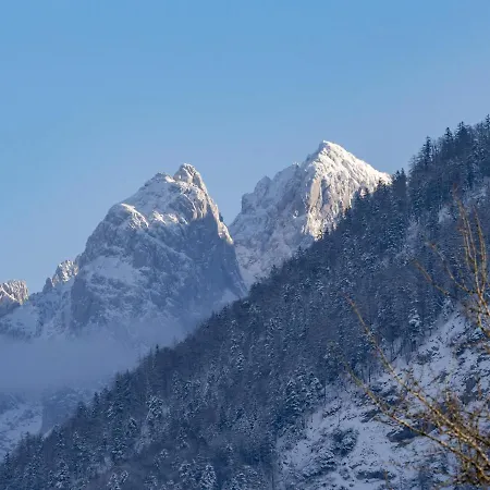 Chalet Alpengasthof Veitenhof