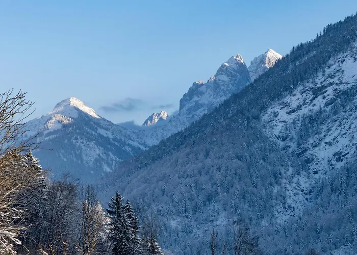 Alpengasthof Veitenhof Horská chata *