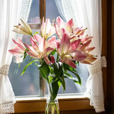 Alpengasthof Veitenhof * Ebbs